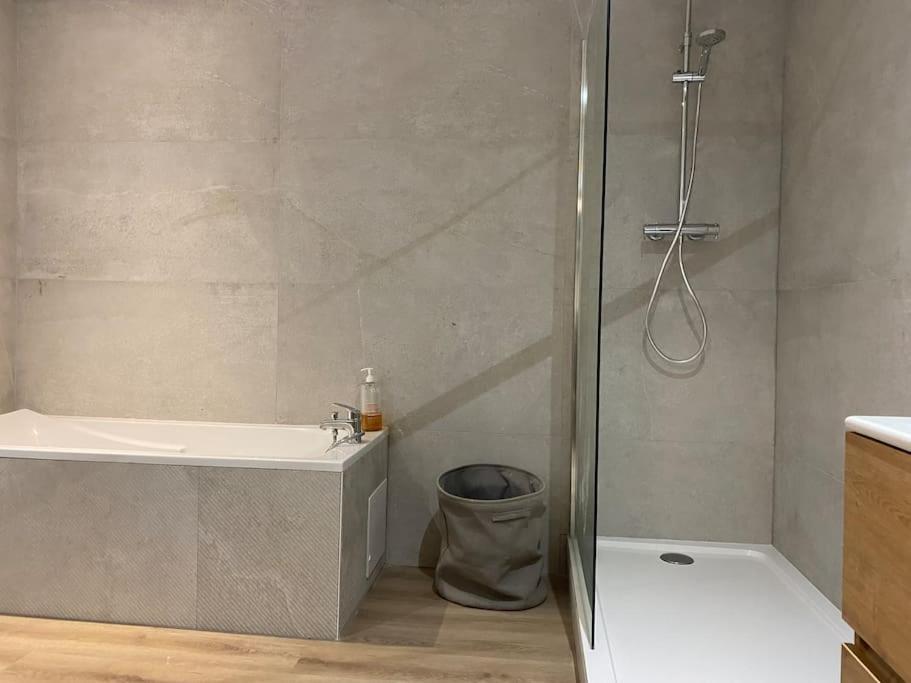 Maison Entiere 6 Personnes Jardin Terrasses Et Garage น็องซี ภายนอก รูปภาพ