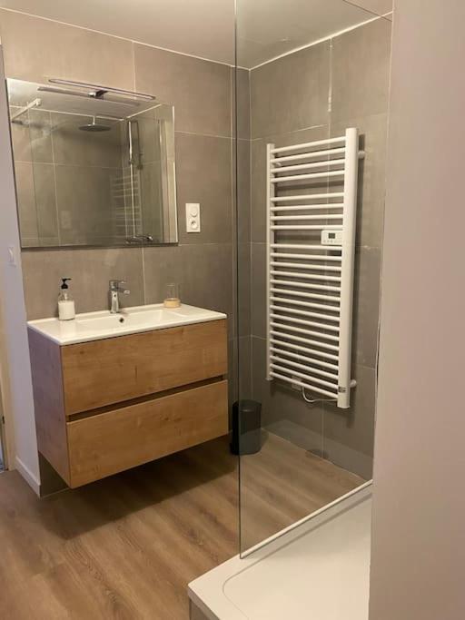 Maison Entiere 6 Personnes Jardin Terrasses Et Garage น็องซี ภายนอก รูปภาพ